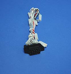 ar microgenus 24 mffi h48-012 har.jpg